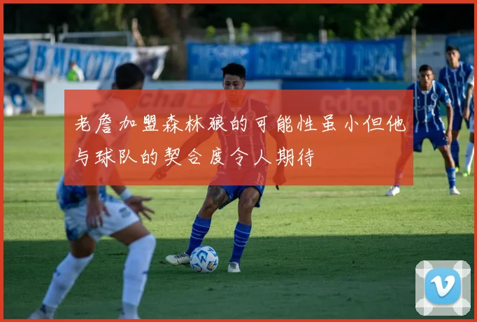 老詹加盟森林狼的可能性虽小但他与球队的契合度令人期待