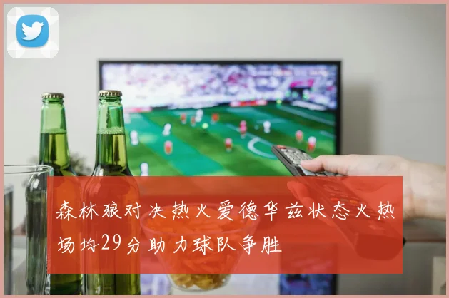 森林狼对决热火爱德华兹状态火热场均29分助力球队争胜