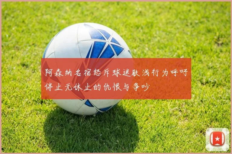 阿森纳名宿怒斥球迷肤浅行为呼吁停止无休止的仇恨与争吵