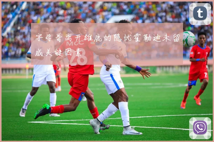字母哥离开雄鹿的隐忧霍勒迪未留成关键因素