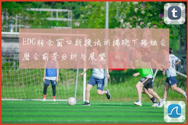 EDG转会窗口新援试训揭晓下路组合磨合前景分析与展望